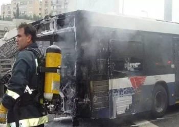 Saudi Arabia Bus-Tanker Collision 42 Indian Pilgrims Dead in Tragic Crash